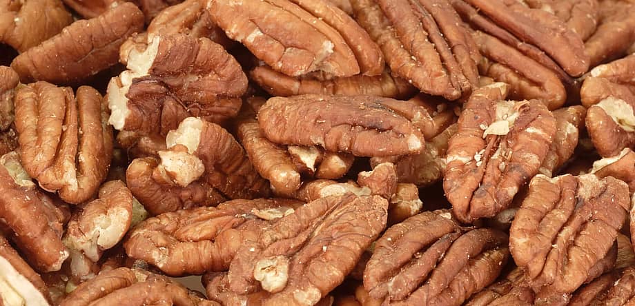 Pecan Day