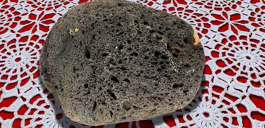 National Pet Rock Day