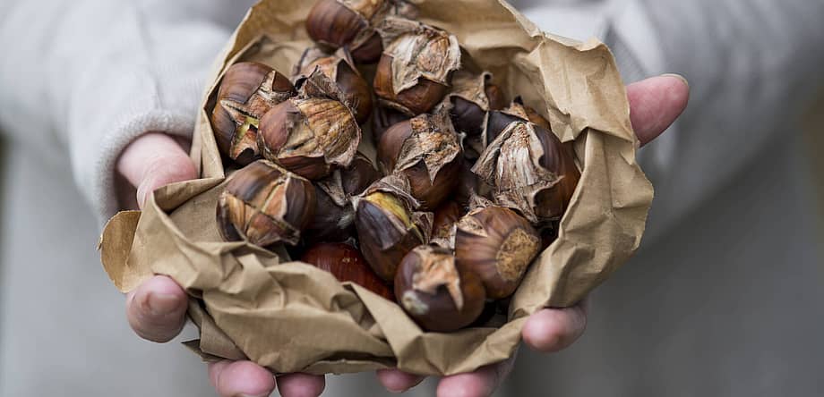 Roast Chestnuts Day