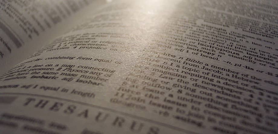 Big Word Day