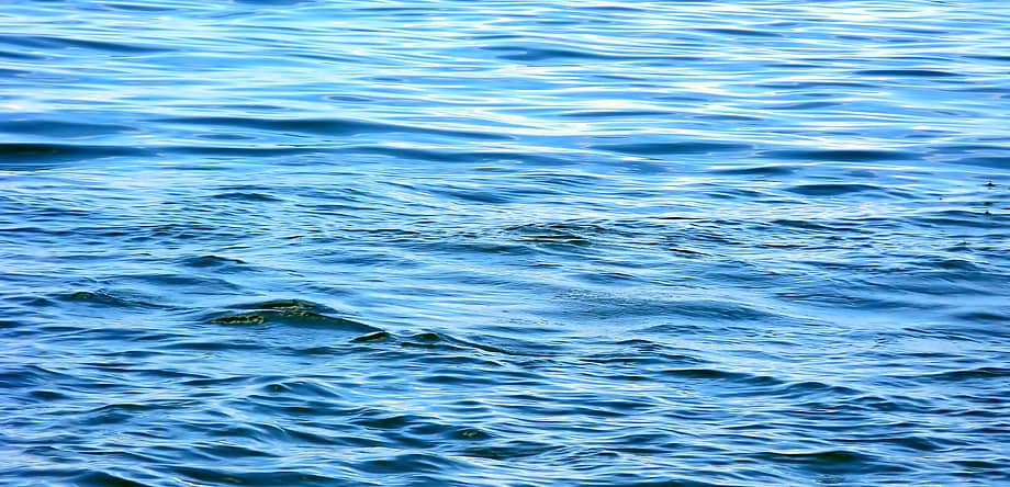 World Water Day