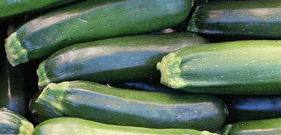 National Sneak Some Zucchini Onto Your Neighbors’ Porch Day