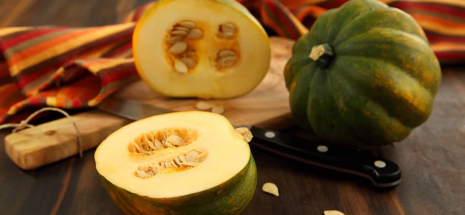 National Acorn Squash Day