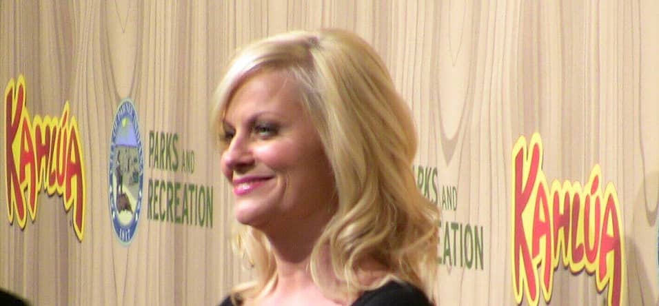 Amy Poehler