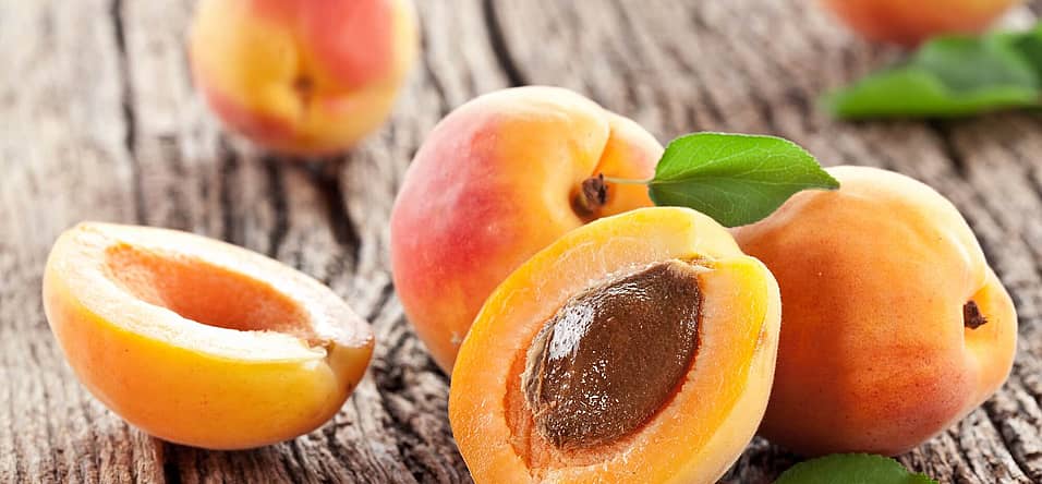 National Apricot Day