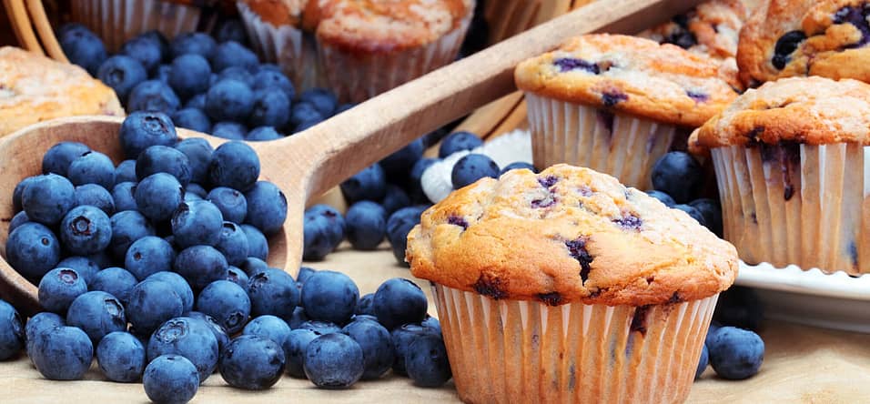 National Blueberry Muffin Day