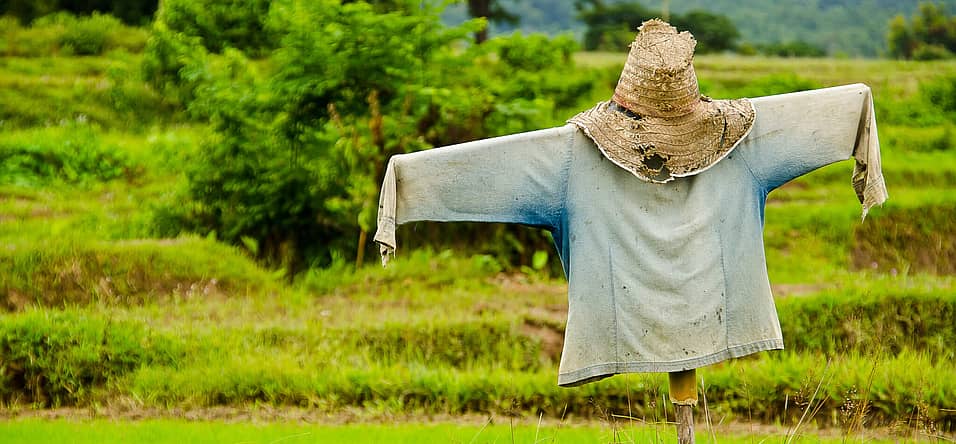 Build A Scarecrow Day