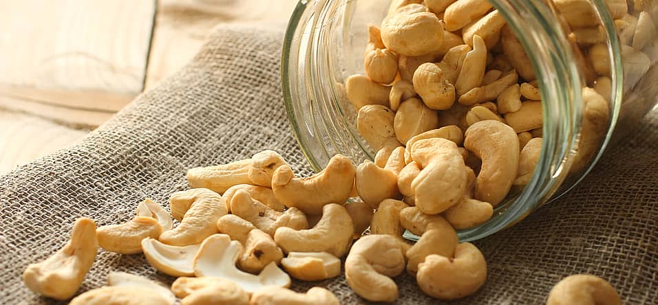 National Cashew Day