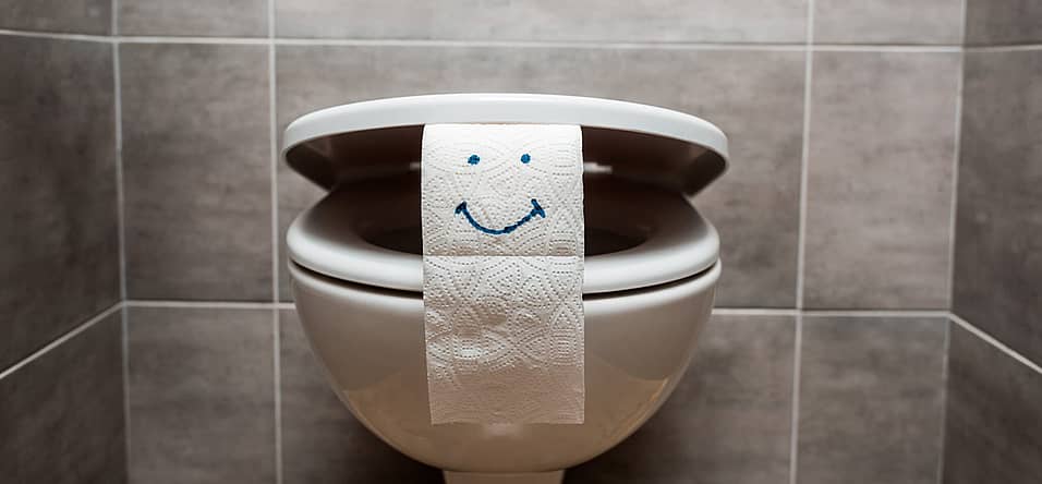 National Toilet Paper Day