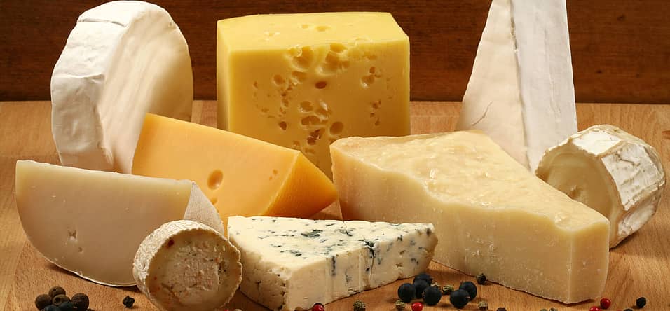 National Cheese Lovers Day