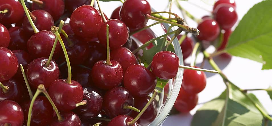 National Cherry Month