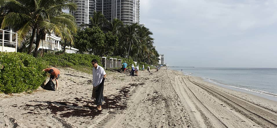 International Coastal Cleanup Day