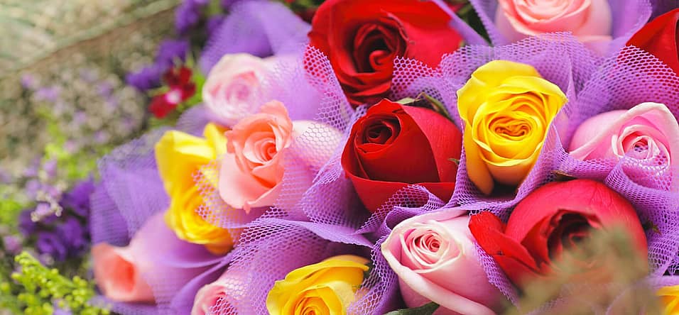 Rose Day