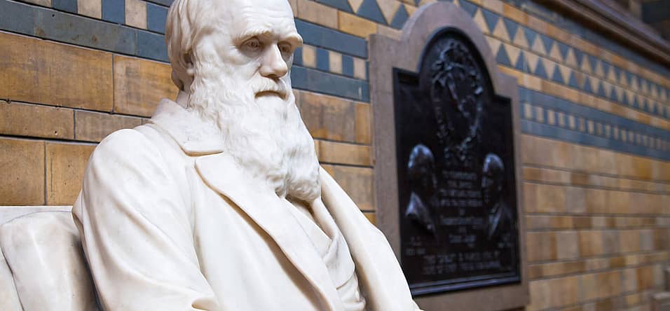 Darwin Day