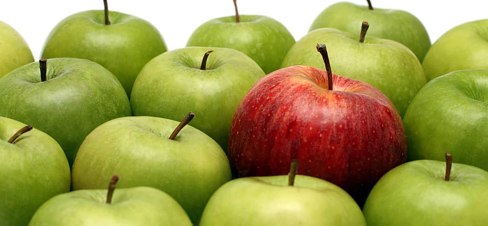 International Eat An Apple Day