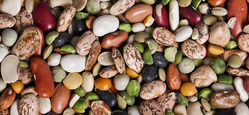 National Eat Your Beans Day (July 3rd) Days Of The Year