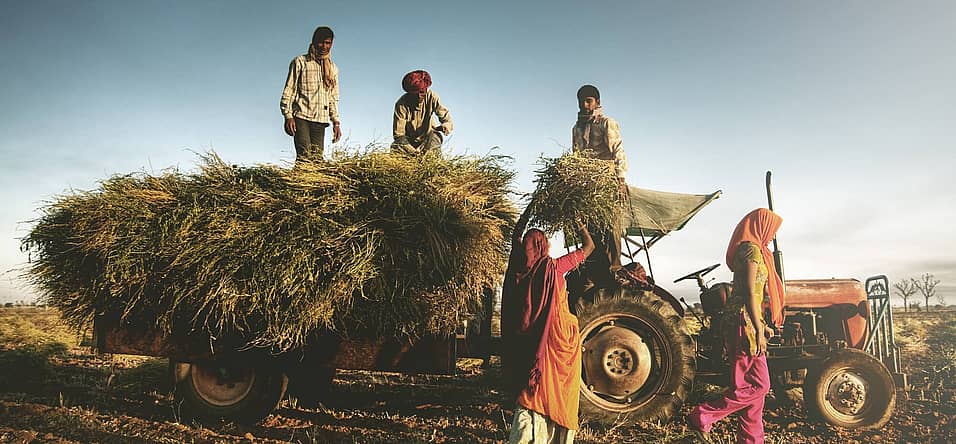 National Farm Workers Day