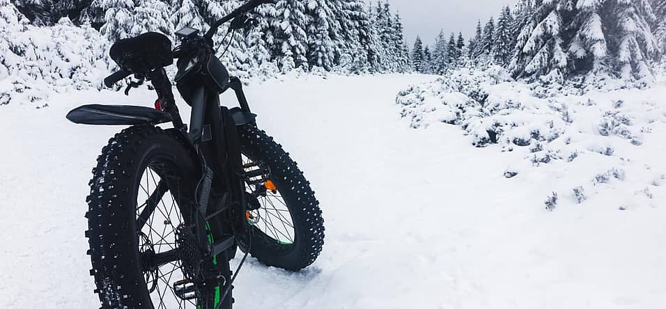 Global Fat Bike Day