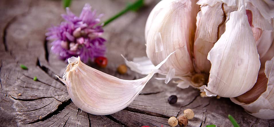 National Garlic Day