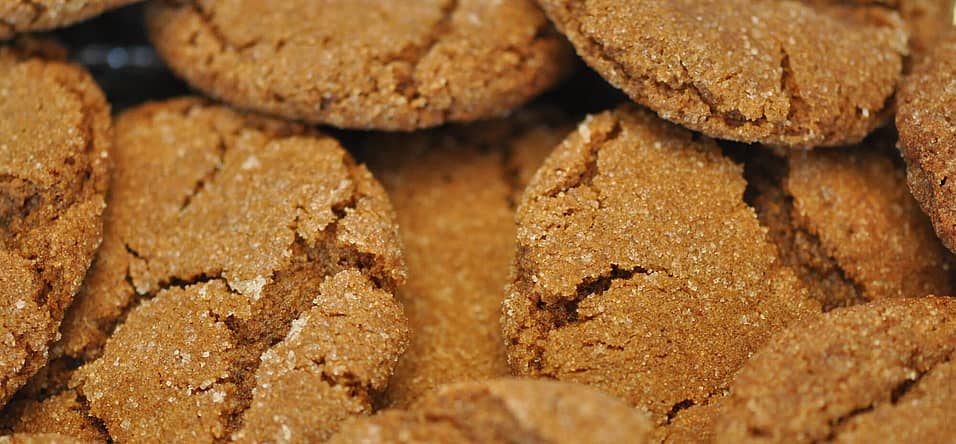 National Gingersnap Day