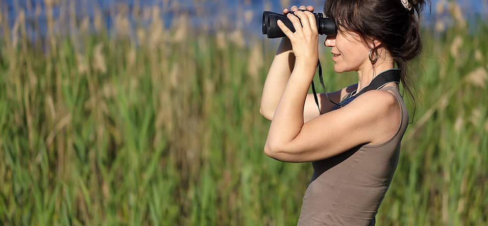 National Go Birding Day