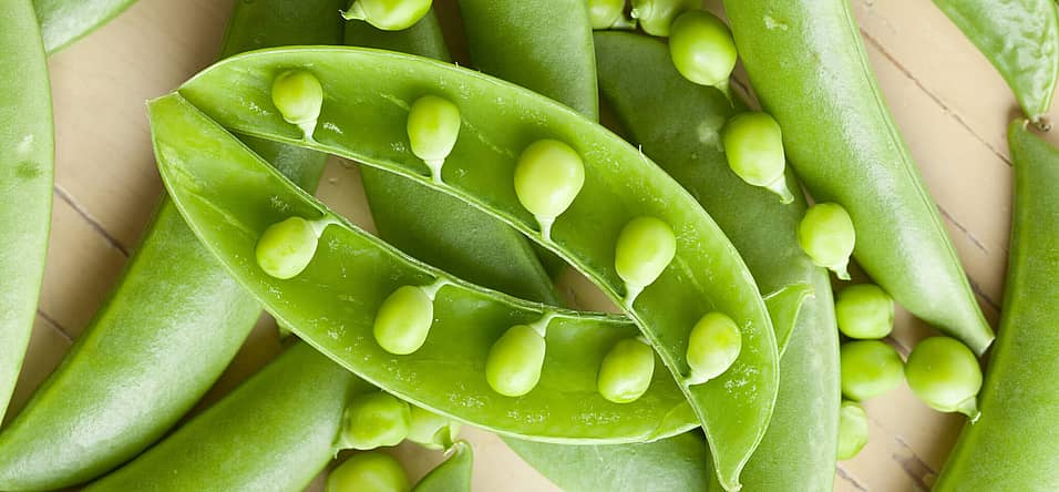 Great British Pea Week