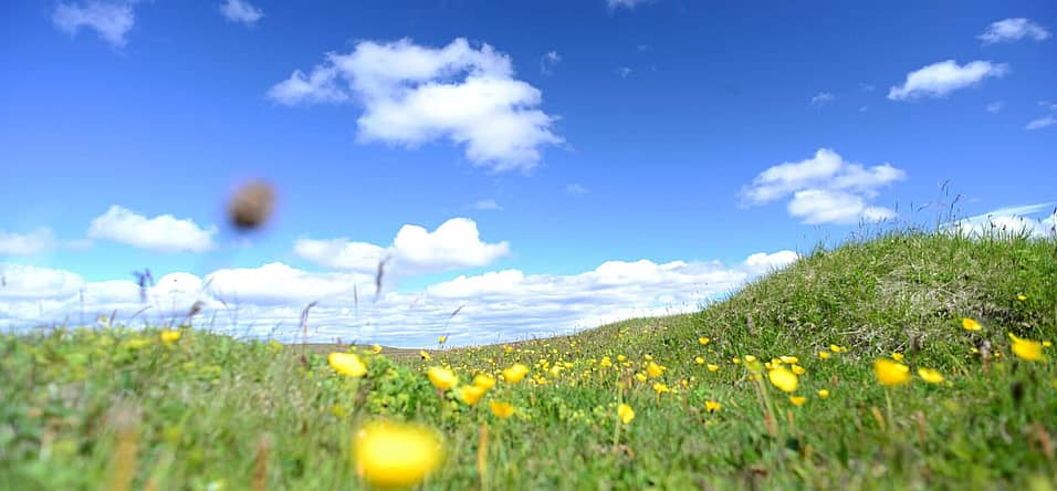 National Great Outdoors Month