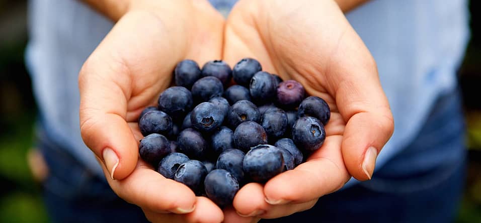 Pick Blueberries Day