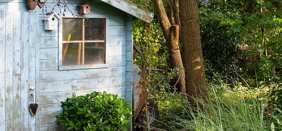 Hug A Shed And Take A Selfie Day