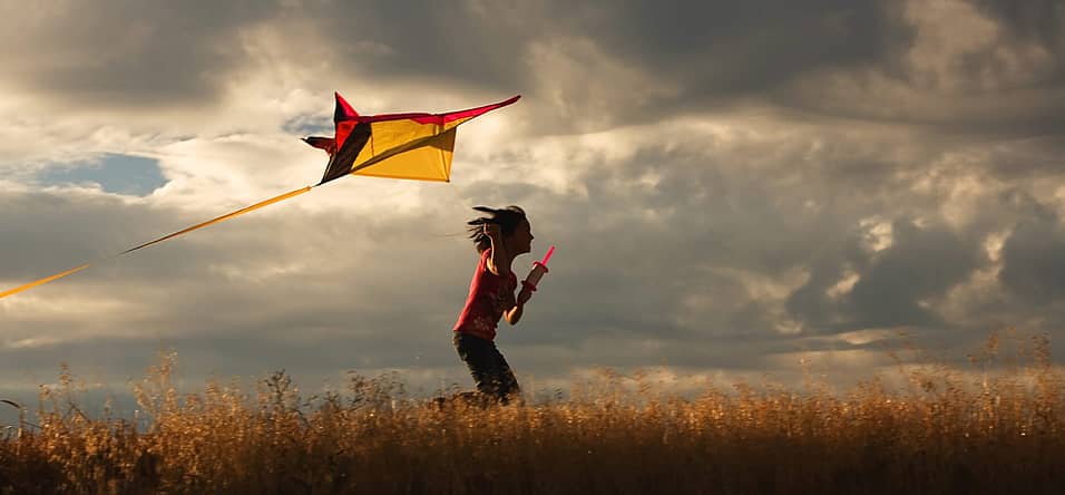 National Kite Flying Day