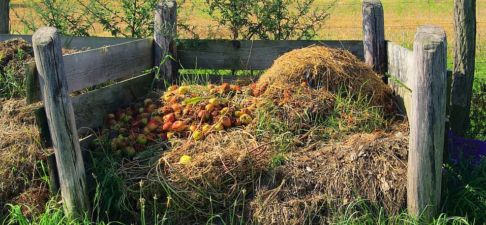 Learn About Composting Day