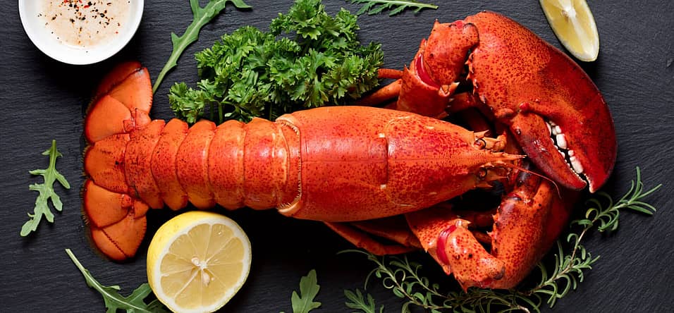 National Lobster Thermidor Day 