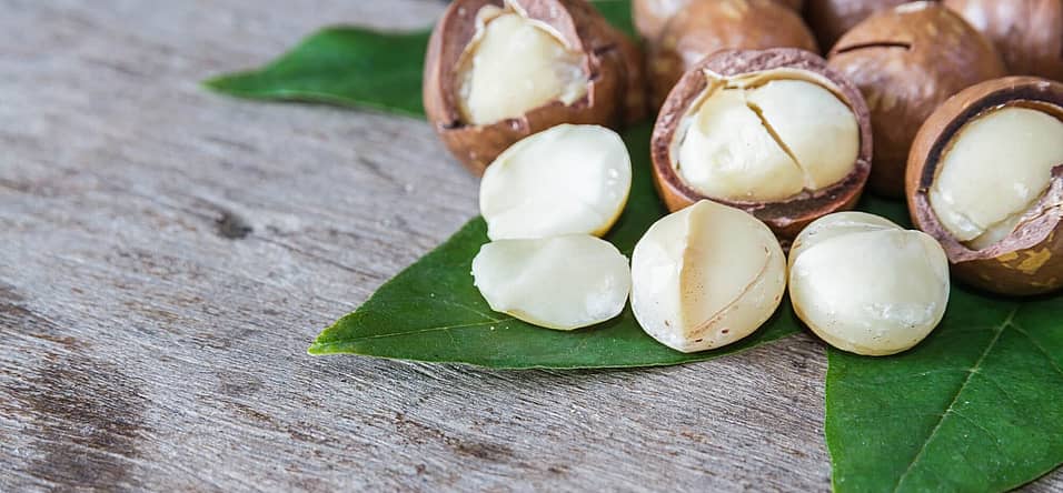 National Macadamia Nut Day