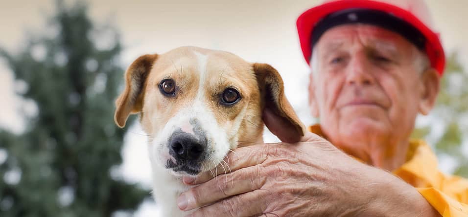 National Pet Fire Safety Day