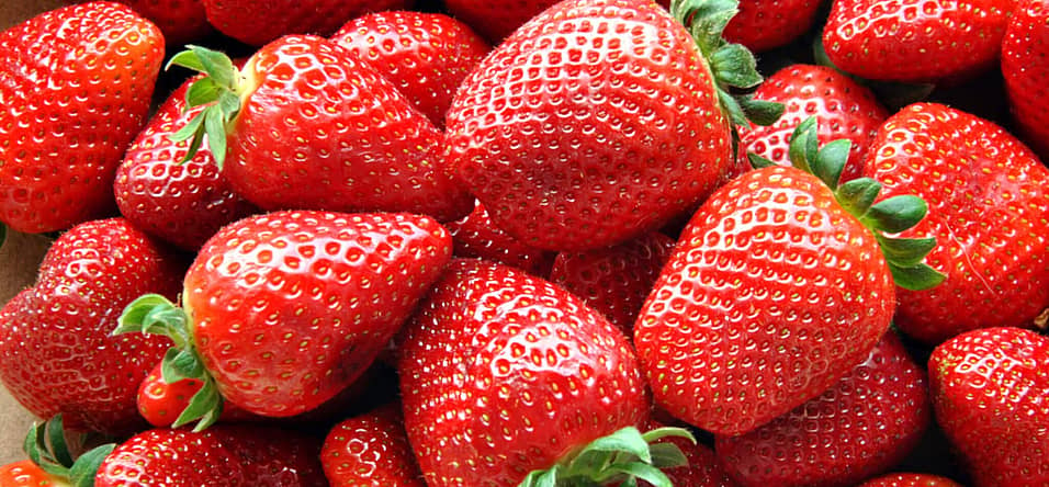 National Pick Strawberries Day