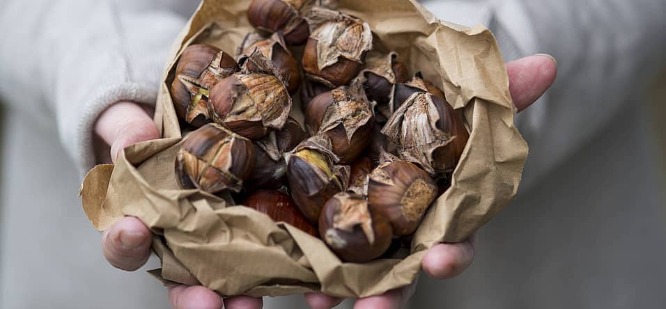 Roast Chestnuts Day