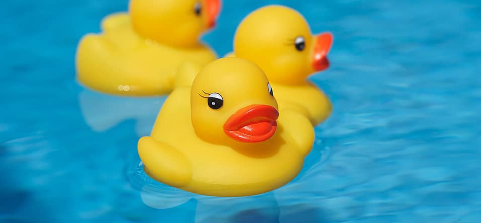 National Rubber Ducky Day