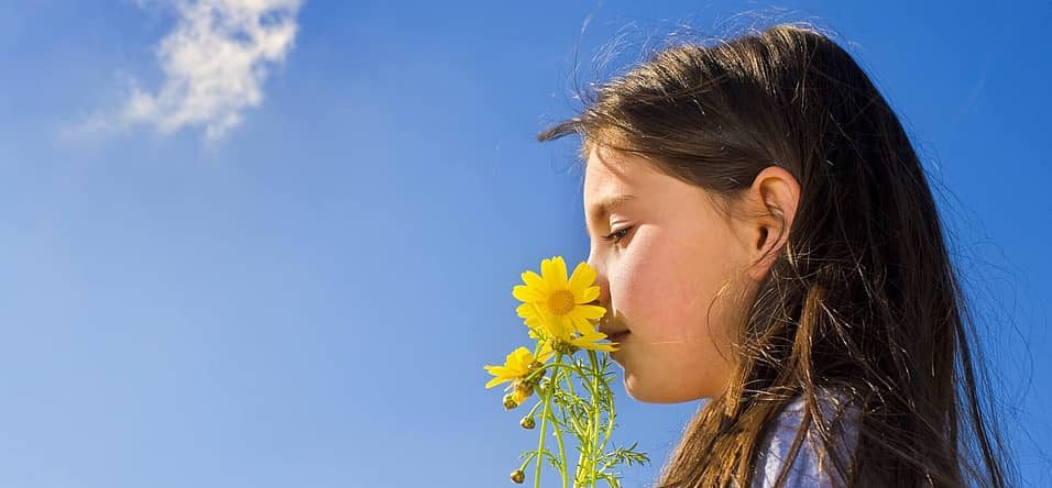 National Sense Of Smell Day