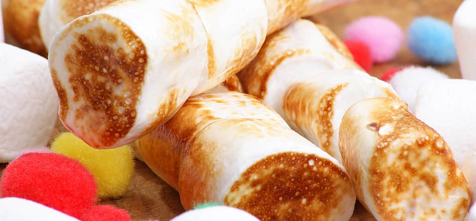 National Toasted Marshmallow Day (August 30th) Days Of The Year