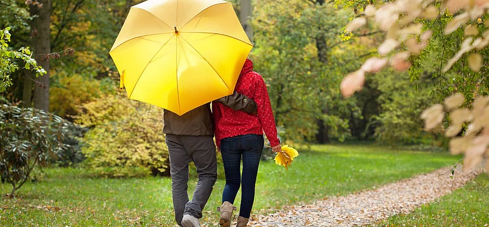 National Umbrella Day