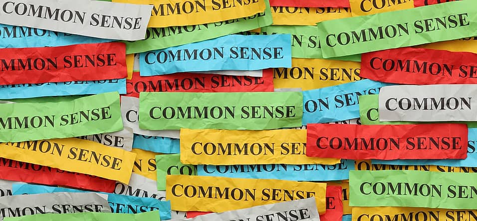 Use Your Common Sense Day