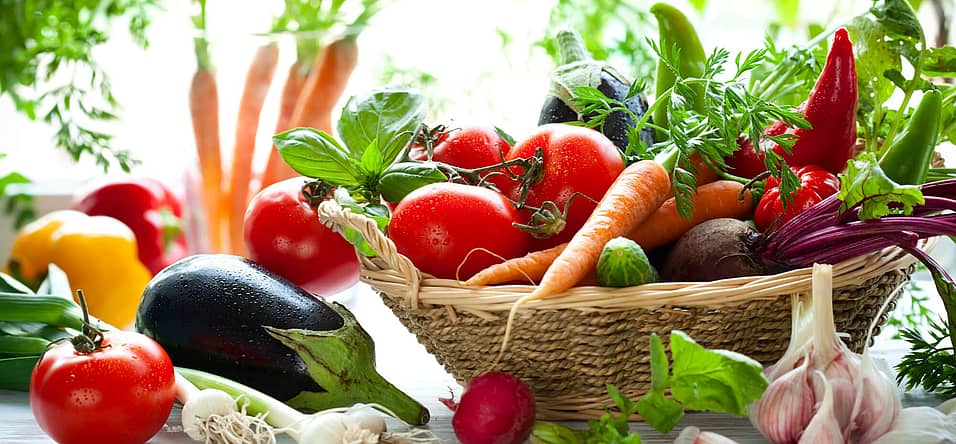 World Vegan Month (November 2024) Days Of The Year