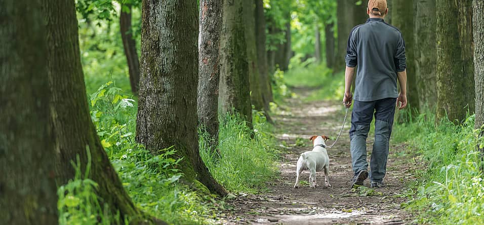 Walk Your Dog Week