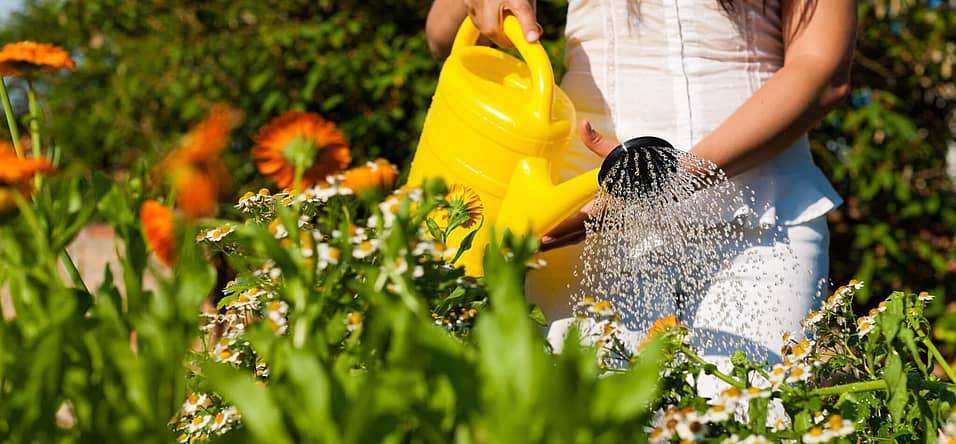 National Water a Flower Day