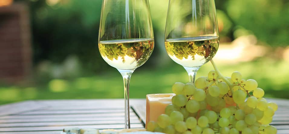 National White Wine Day