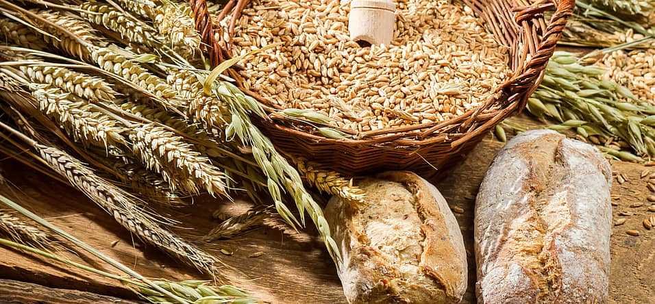 Whole Grains Month