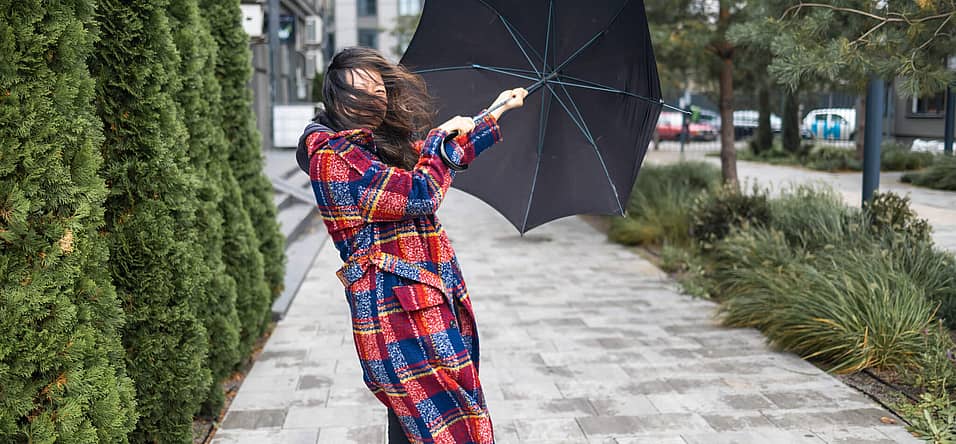 National Big Wind Day (April 12th) Days Of The Year