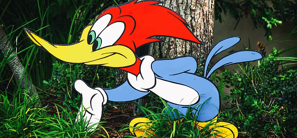 Woody Woodpecker Day (April 27th) | Days Of The Year