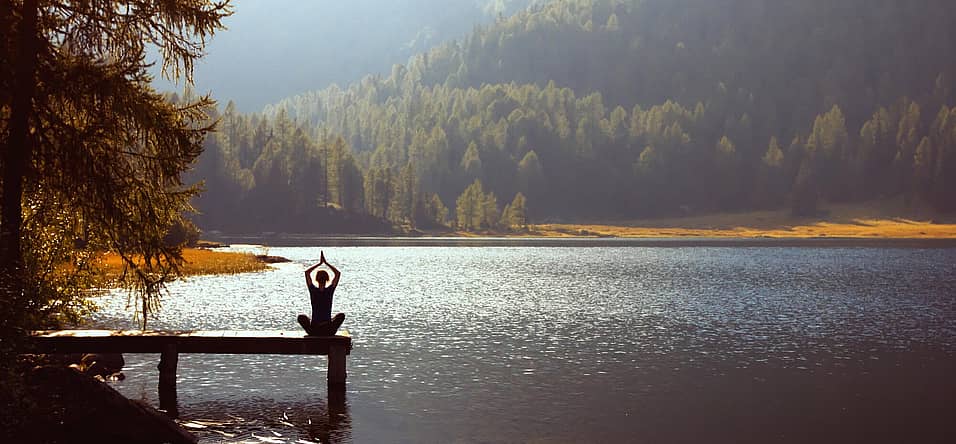 World Meditation Day