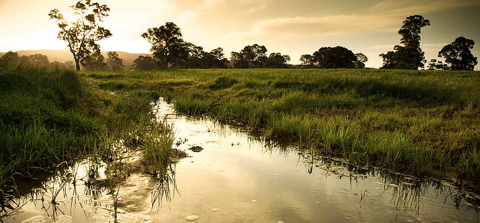 World Wetlands Day